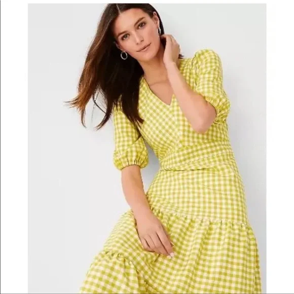 Ann Taylor Citron Gingham Preppy Midi Dress Size 10 NWOT - Picture 2 of 10